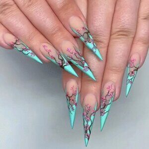 Beautiful press-on or glue-on nails.